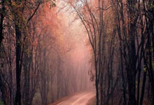 多多28:郑钦文成功“复仇”:“我不会遗忘失败!”总台环球资讯广播.