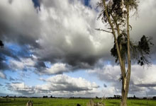 太励志!19岁李新翔已获伊万高度关注:去年还在踢中乙!.