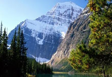 足篮不分家,泰山外援卡扎休赛期现场观战CBA山东队比赛.