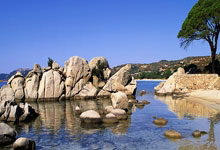 足篮不分家,泰山外援卡扎休赛期现场观战CBA山东队比赛.